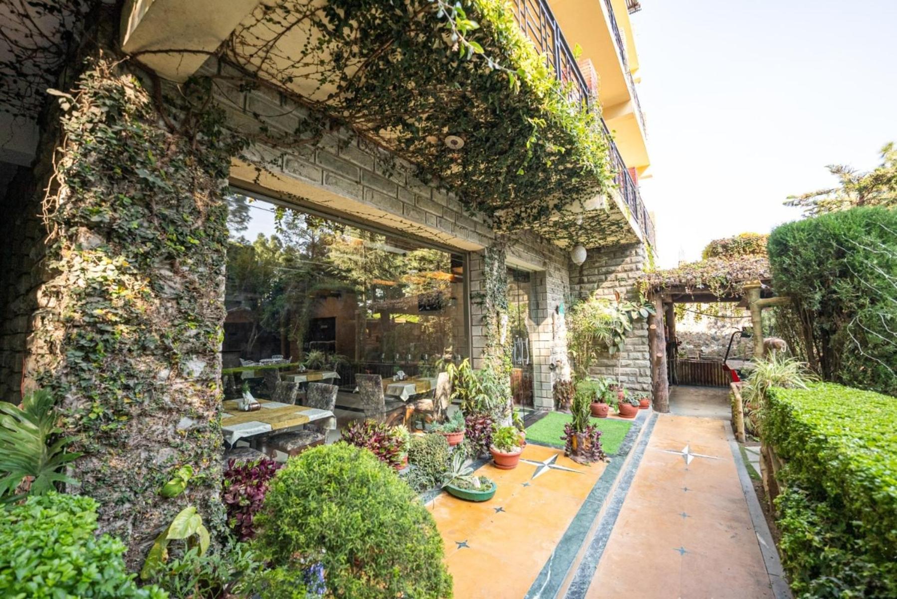 Kasauli Castle Resort Εξωτερικό φωτογραφία