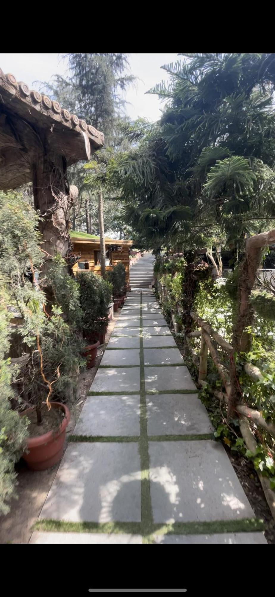 Kasauli Castle Resort Εξωτερικό φωτογραφία